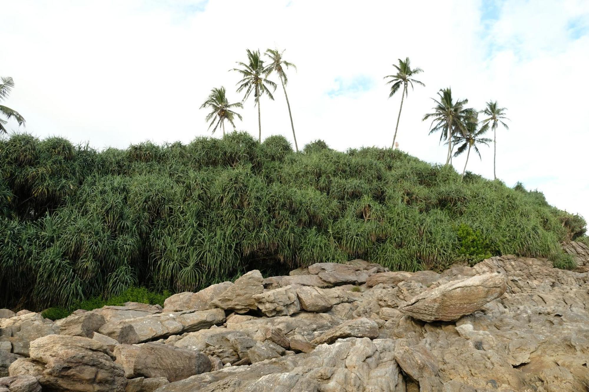 Menaka Homestay Tangalle Zewnętrze zdjęcie